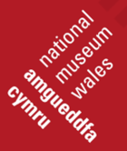 Ameuddfa cymru